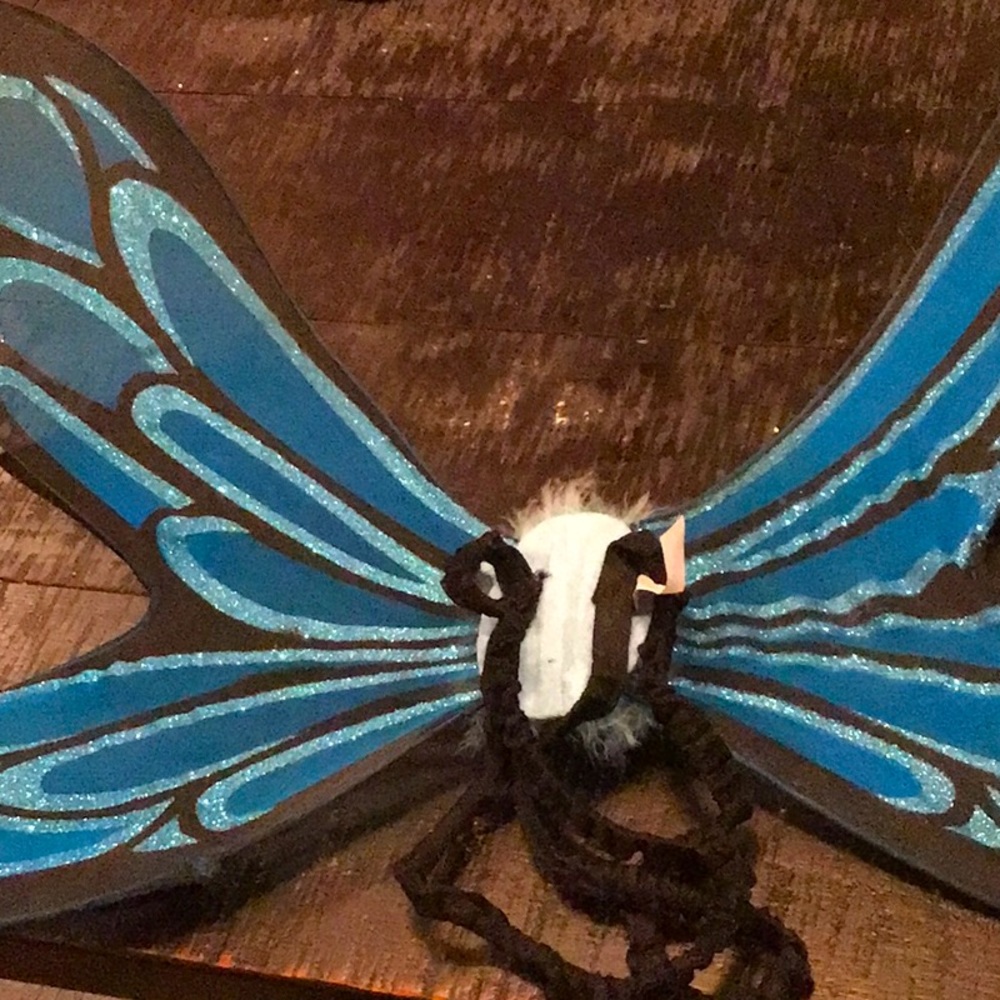 These are the wings